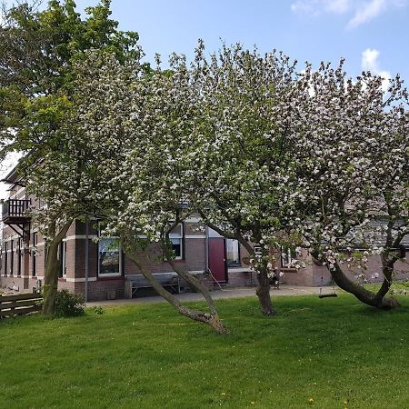 Hunsingo Texel Bed & Breakfast De Cocksdorp  Luaran gambar